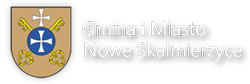 bip.spgostyczyna.noweskalmierzyce.pl